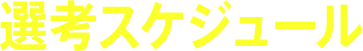 選考スケジュール